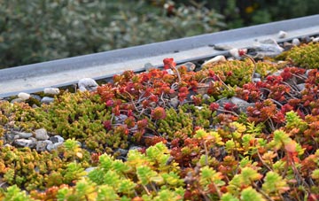 the cost of Clare green roof installation