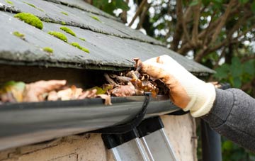 gutter cleaning Clare