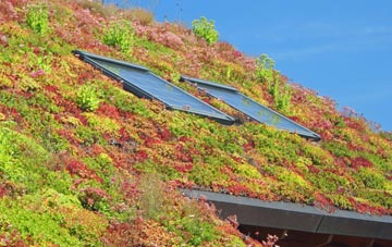 Clare living roof systems