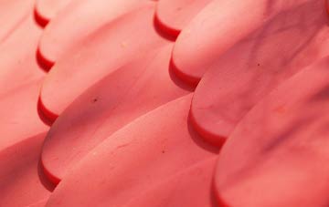 Clare plastic roof costs