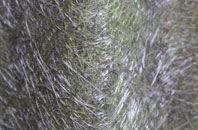 Clare fibreglass roof work